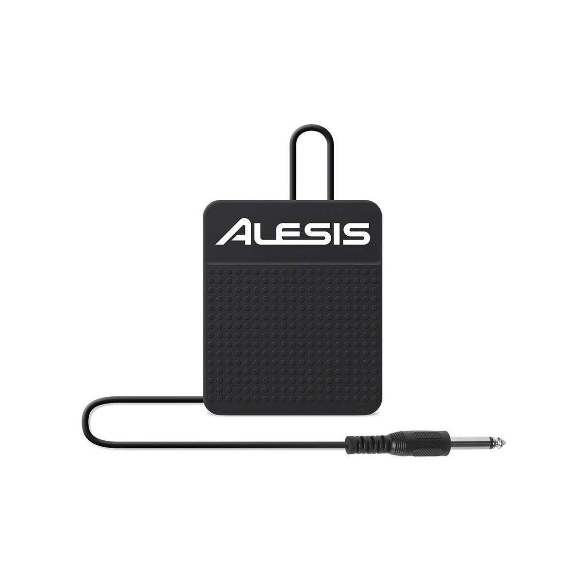 alesis-asp-1-sustain-pedal_60a3be1b72713.jpg