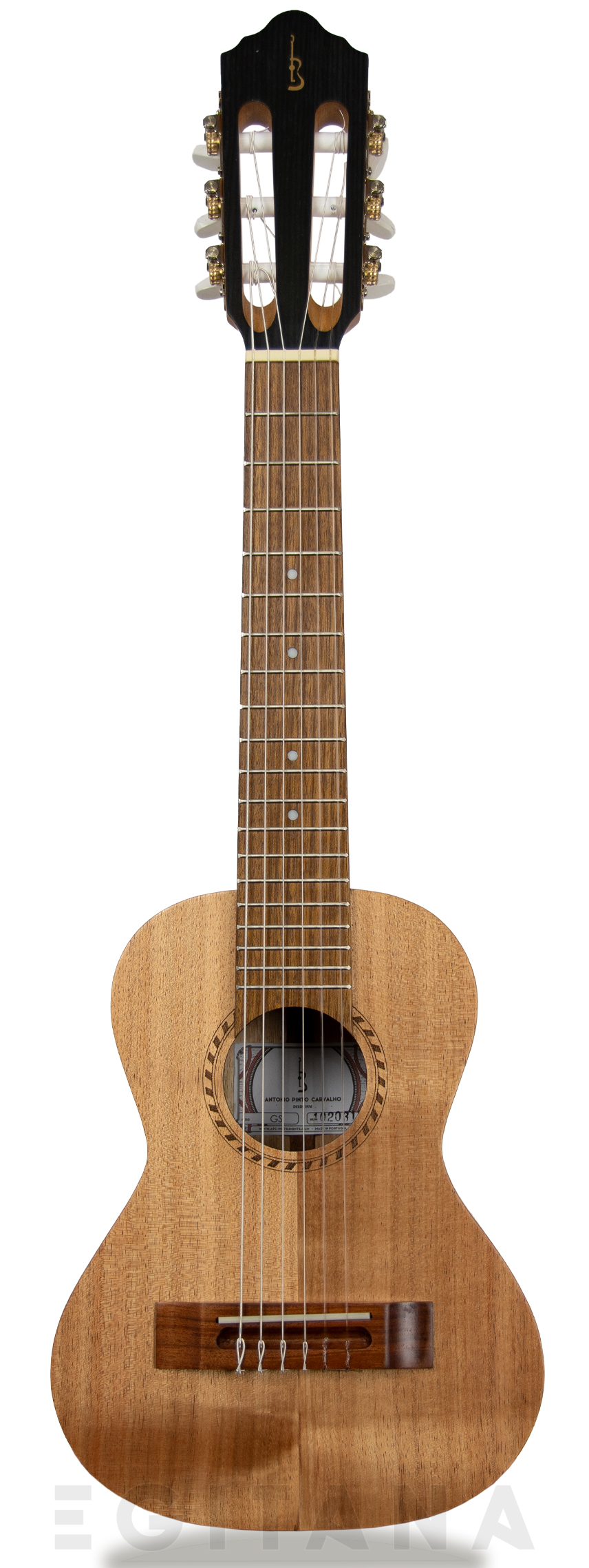 apc-guitalele-gs-simples_603781ef34cbc.jpg