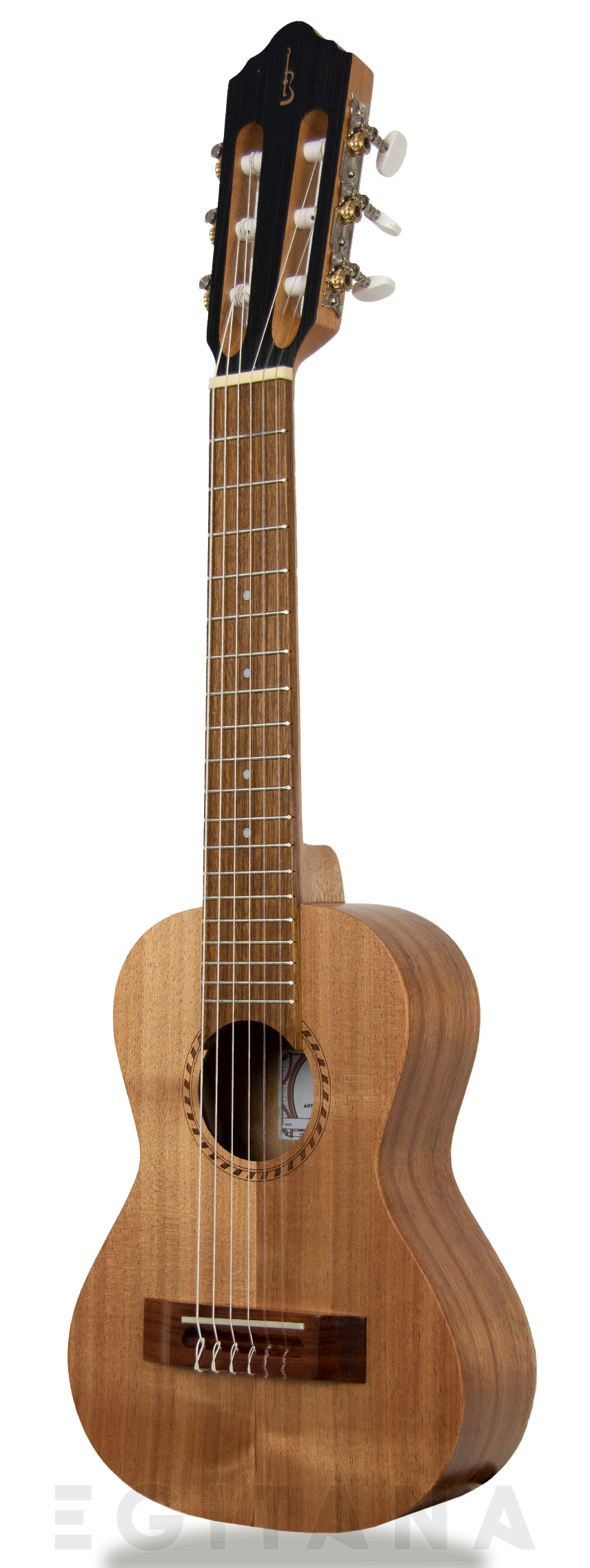 apc-guitalele-gs-simples_603781f01e0b0.jpg