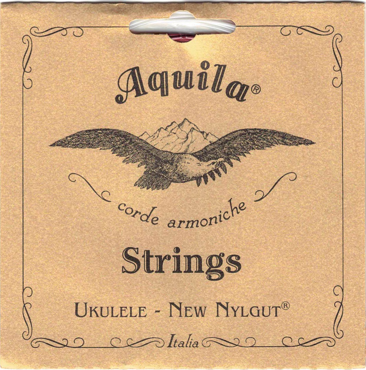 aquila-tenor-high-g-regular-nylgut_60d5feea33a22.jpg