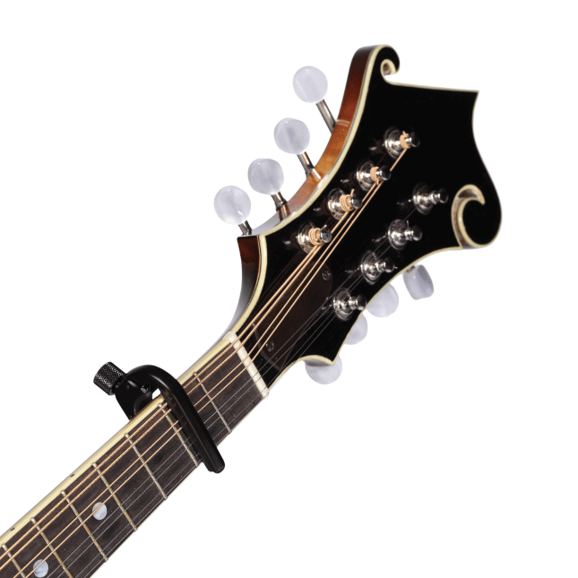 daddario-capo-transpositor-pw-cp-11-para-banjo-mandolin_63a98f363128b.png