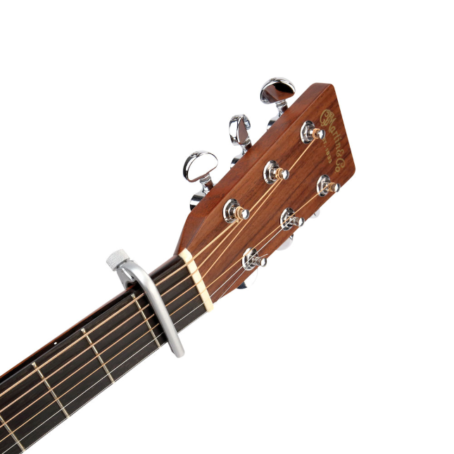 daddario-pro-capo-pw-cp-02s_63a98c3e8c2c1.png