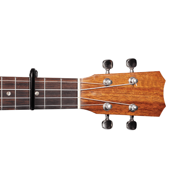 daddario-ukulele-pro-capo_601bd6ca98fa3.png