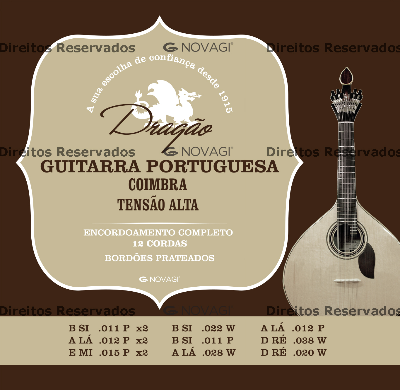 dragao-cordas-para-guitarra-portuguesa-coimbra_5e9ed302b63d3.jpg